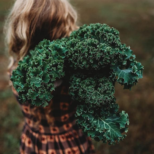 Kale Seeds