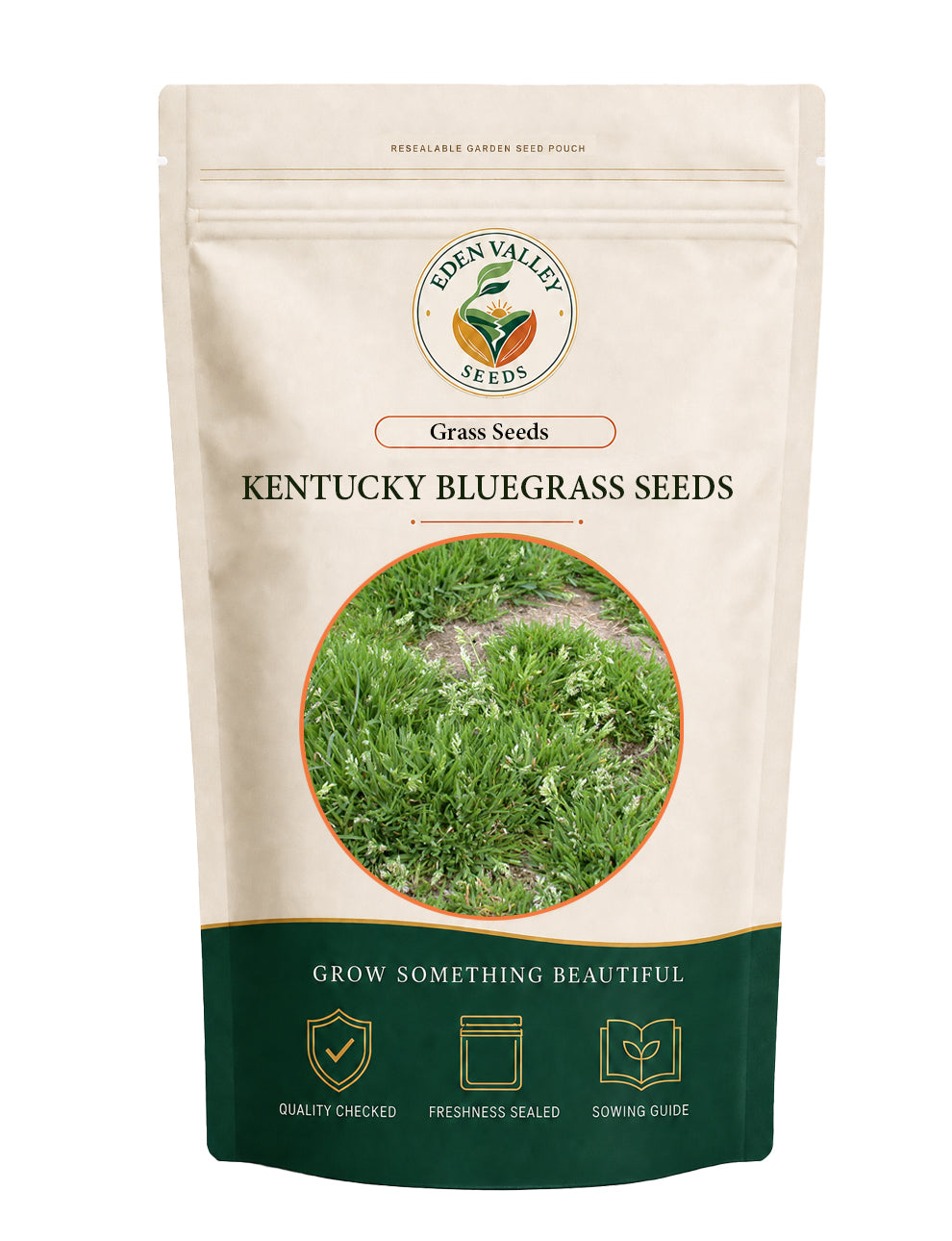 Kentucky Bluegrass Seeds with fine green blades for lawns and garden spaces