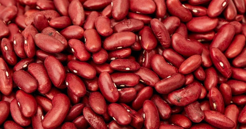 Red Kidney Bean Seeds for Planting – Heirloom Non-GMO Garden Seeds