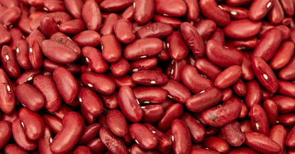 Red Kidney Bean Seeds for Planting – Heirloom Non-GMO Garden Seeds
