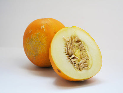 kolkhoznitsa melon seeds
