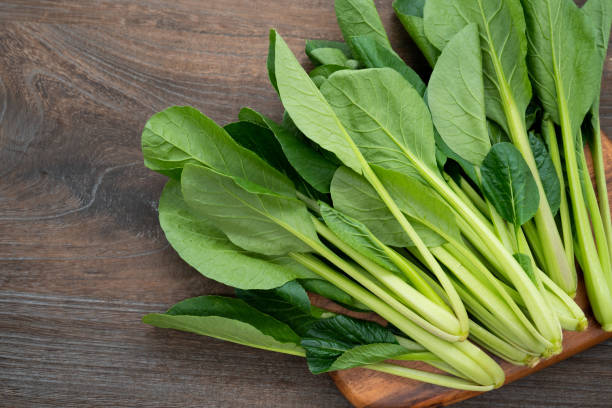 Komatsuna vegetable seeds for planting with fresh green Japanese mustard leaves