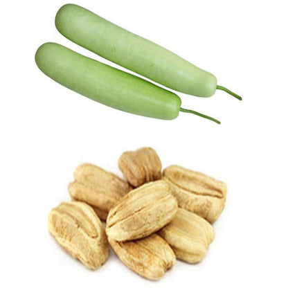 Bottle Gourd Garden Vegetable Seeds for Planting – Heirloom Non-GMO Garden Seeds