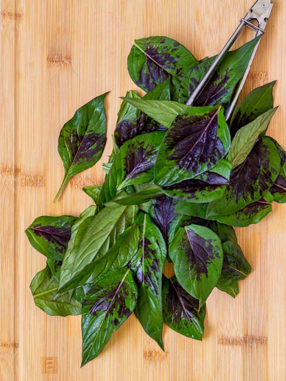 Lagos spinach vegetable plant with lush green edible leaves growing in a sunny home vegetable garden, showcasing its tender foliage and warm-weather growth.