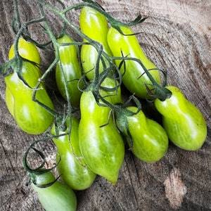 Lange Aermer Tomato Seeds for Planting featuring distinctive elongated red tomatoes for home vegetable gardens