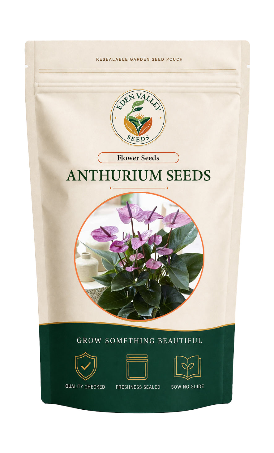 Lavender Anthurium seeds for planting with vibrant purple flowers