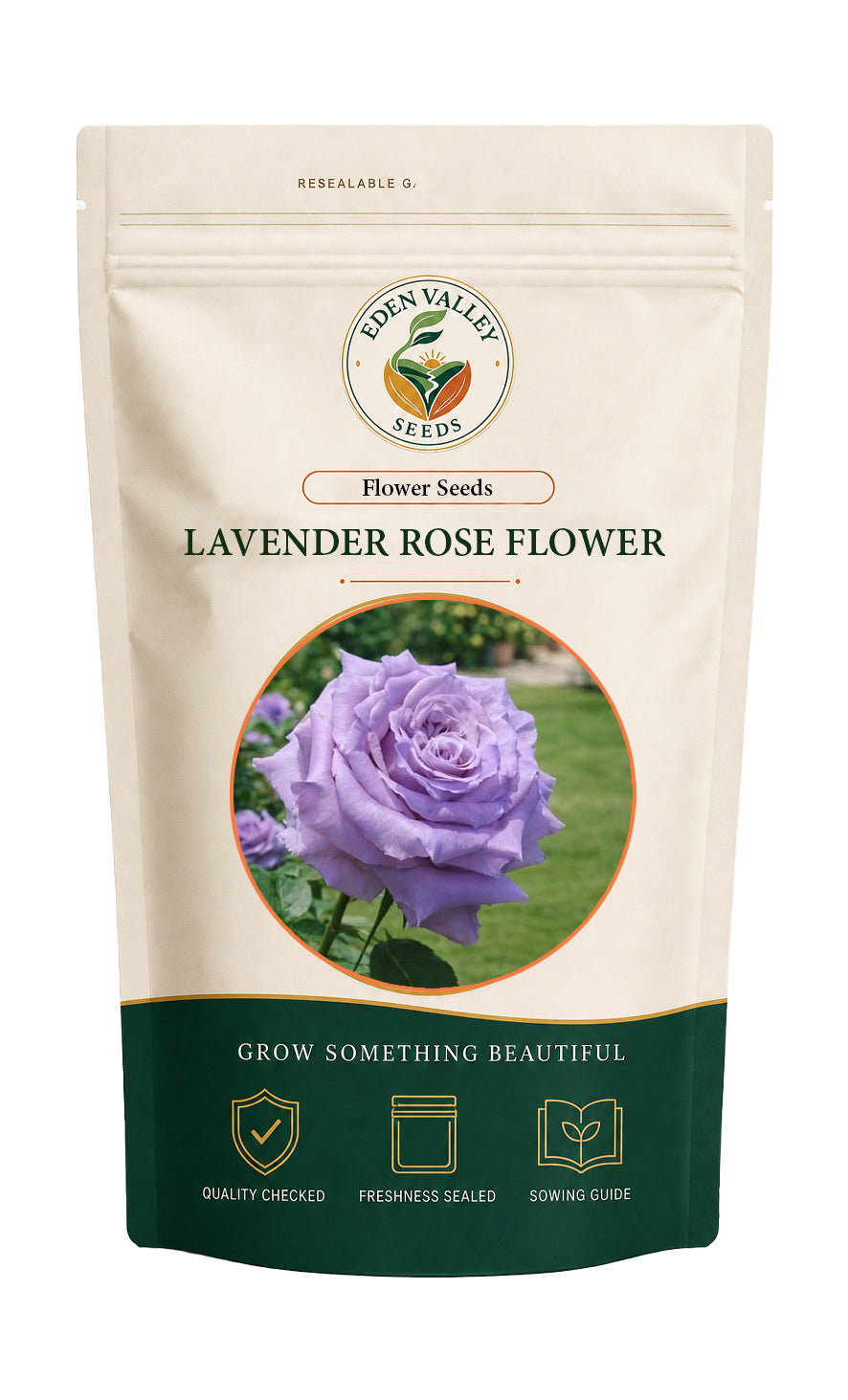 Lavender Rose flowers blooming in a garden