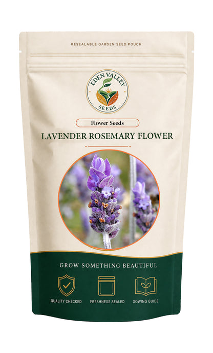 Lavender Rosemary flowers blooming in a garden