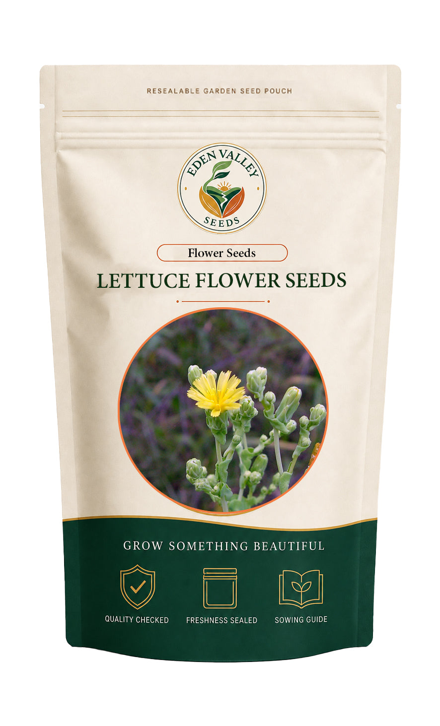 Lettuce Flower Seeds for home gardens