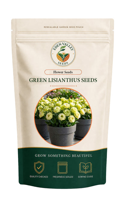 Light Green Lisianthus Flower Seeds with delicate blooms and lush green foliage