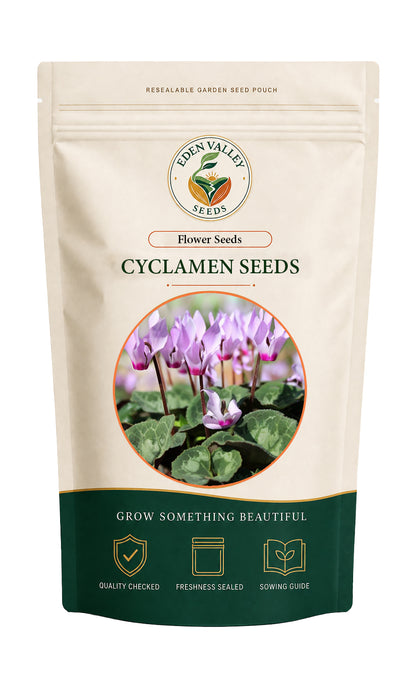 Light Pink Cyclamen Seeds for Planting with delicate pink flowers for home gardens