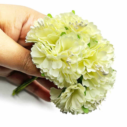 Light Yellow flower seeds