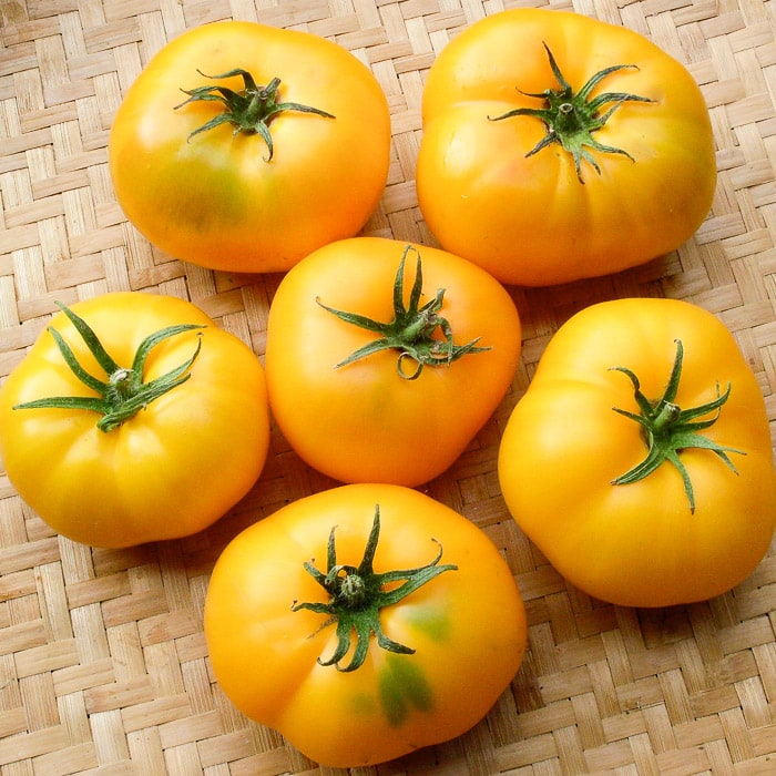 Yellow Giant Tomato Seeds