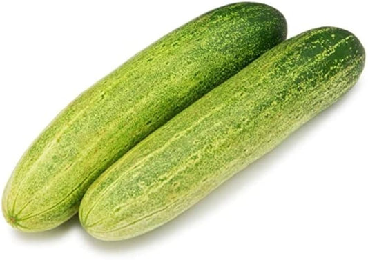 Long Greek Cucumber Seeds