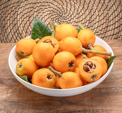 Sherry Wood loquat fruit seeds for planting, featuring an evergreen loquat tree with glossy green leaves and golden-yellow fruit.