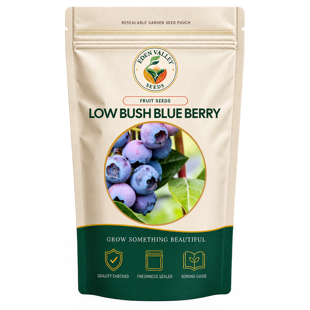 Lowbush Blueberry Seeds for home gardens
