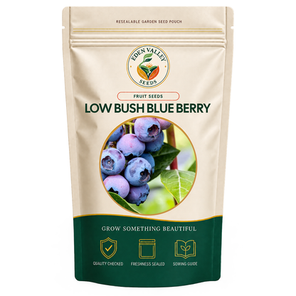 Lowbush Blueberry Seeds for home gardens