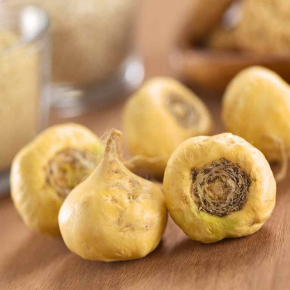 Maca Seeds for Planting – Heirloom Non-GMO Garden Seeds
