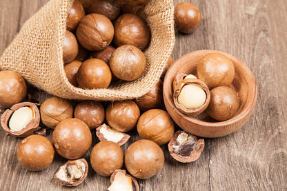 Macadamia Nut Tree Macadamia integrifolia Tree Seeds for Planting – Heirloom Non-GMO Garden Seeds
