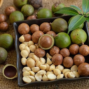 macadamia nut tree seeds