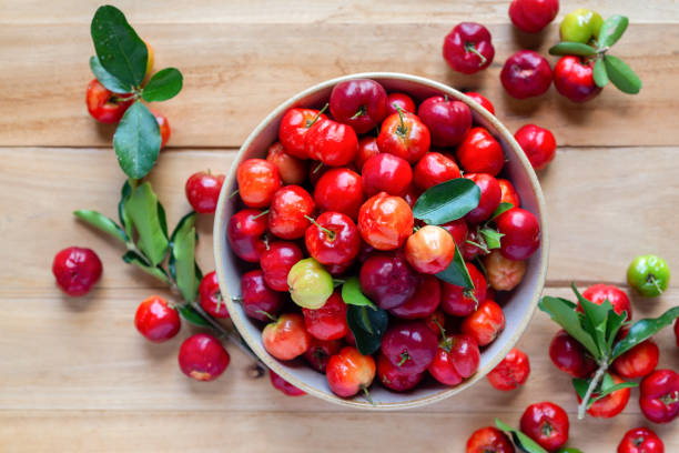 Sweet Acerola Cherry fruit plant with green foliage and colorful tropical fruit