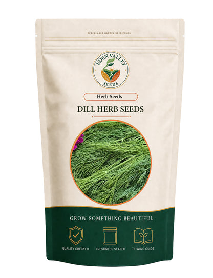 Mammoth Dill herb seeds for planting with fresh green dill plants