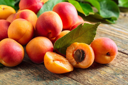 Manchurian Apricot Fruit Seeds for Planting – Heirloom Non-GMO Garden Seeds