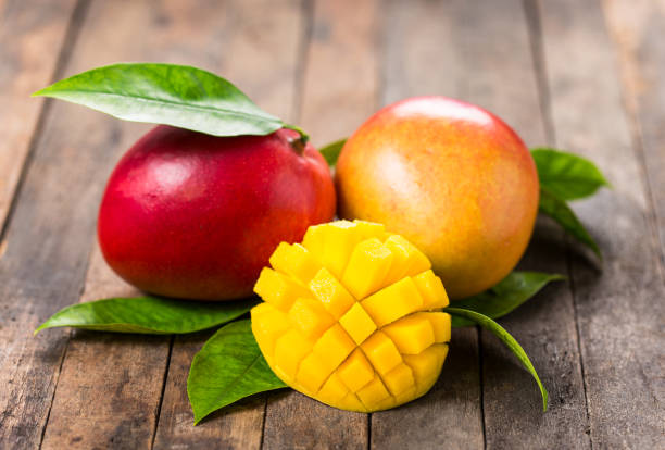 Red Mango Fruit Seeds for Planting for Growing Tropical Mango Trees