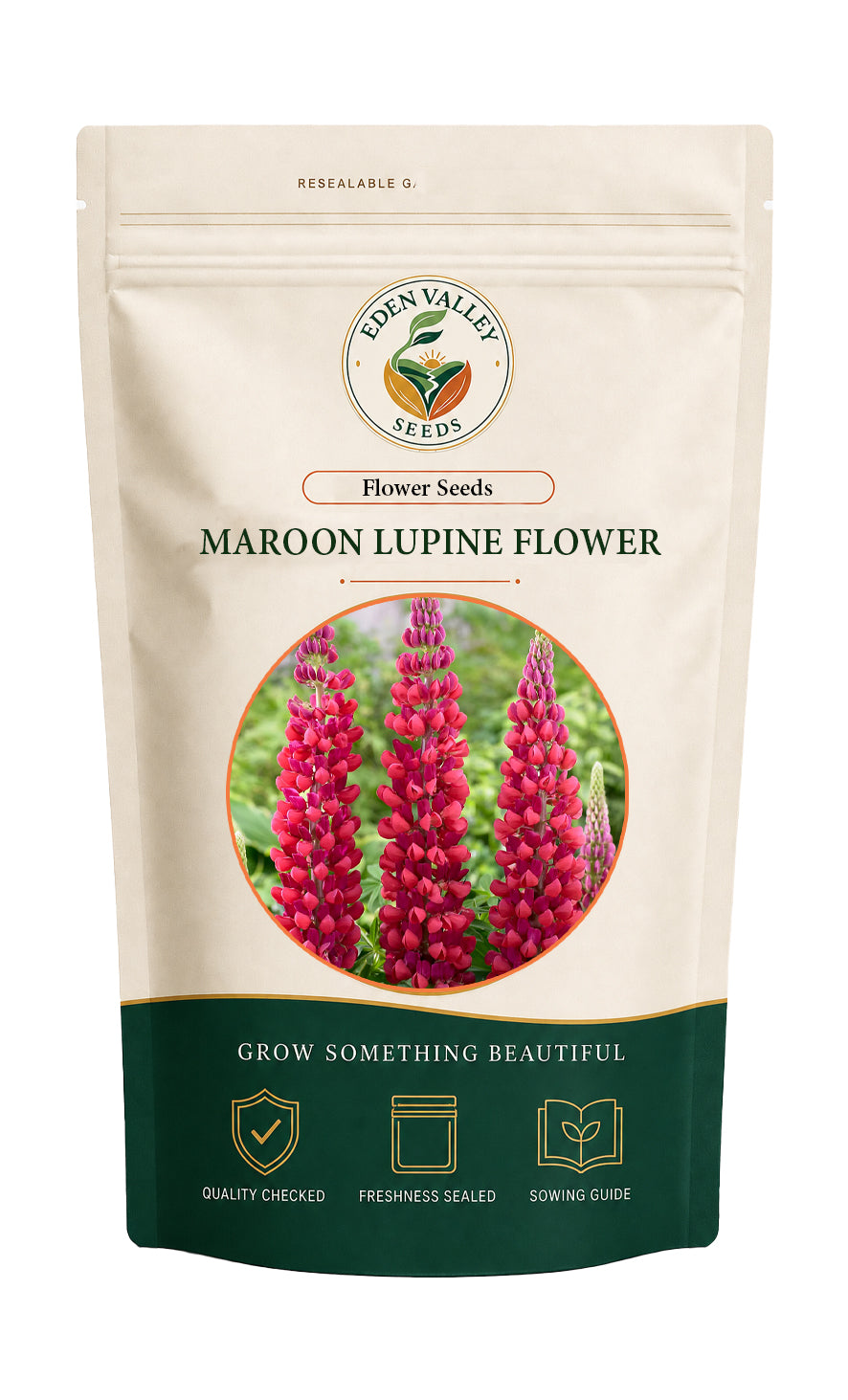 Maroon Lupine Flower for planting
