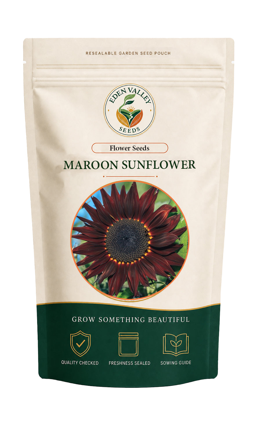 Maroon Sunflower Seeds for home gardens