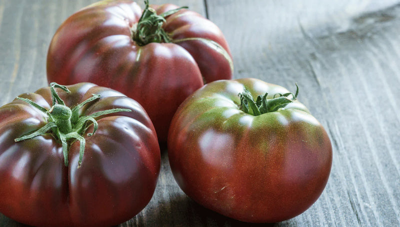 Maroon Tomato Seeds for Planting – Heirloom Non-GMO Garden Seeds