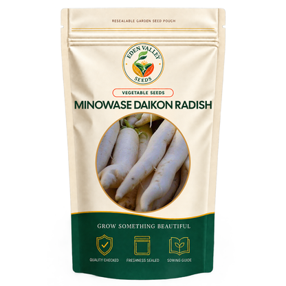 Minowase Daikon Radish Vegetable Seeds for home gardens