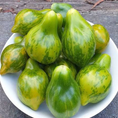 Mint Julep Cherry Tomato Seeds for Planting producing sweet green-striped cherry tomatoes with yellow-green skin in home vegetable gardens