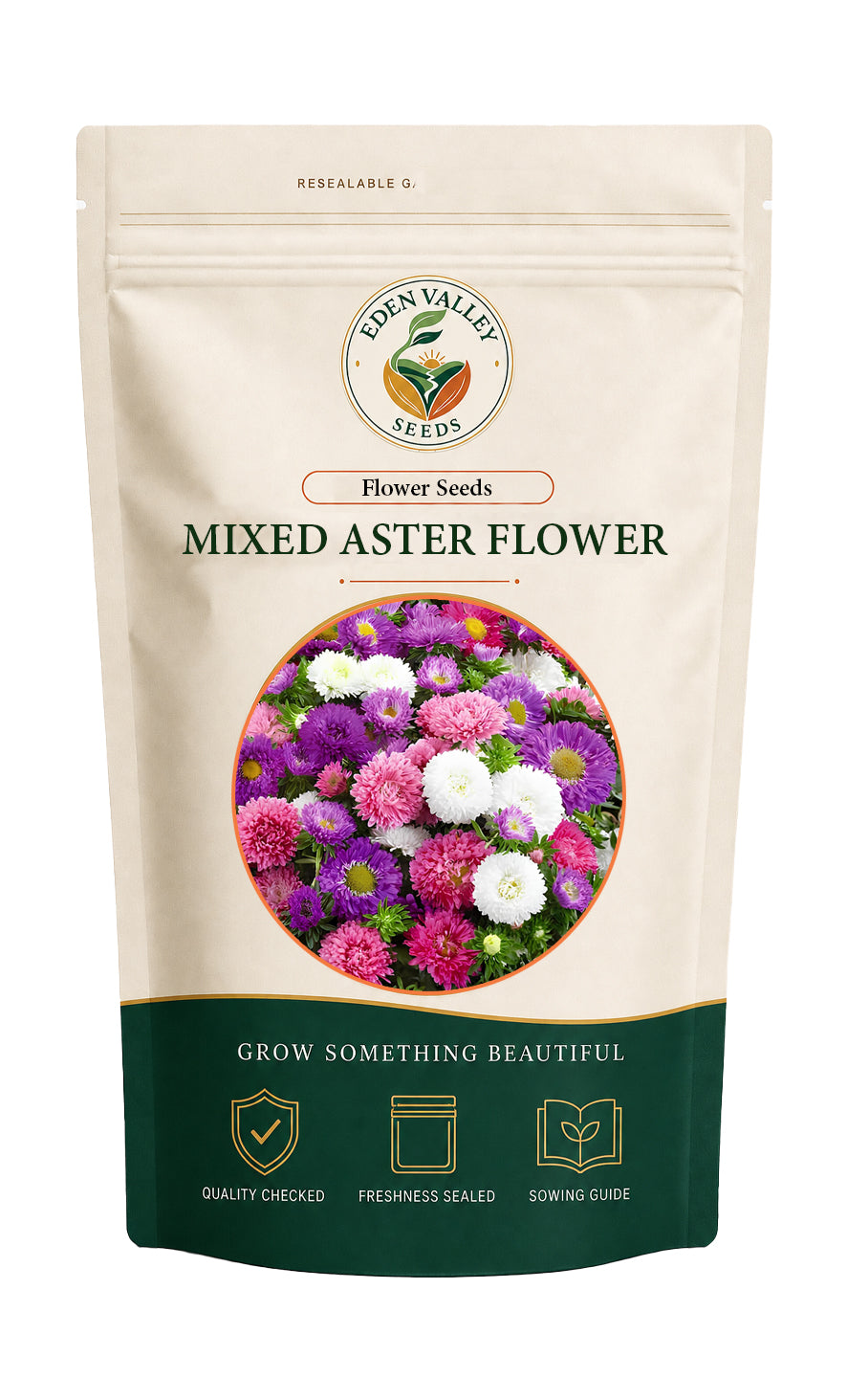 Mixed Aster flowers blooming in a garden
