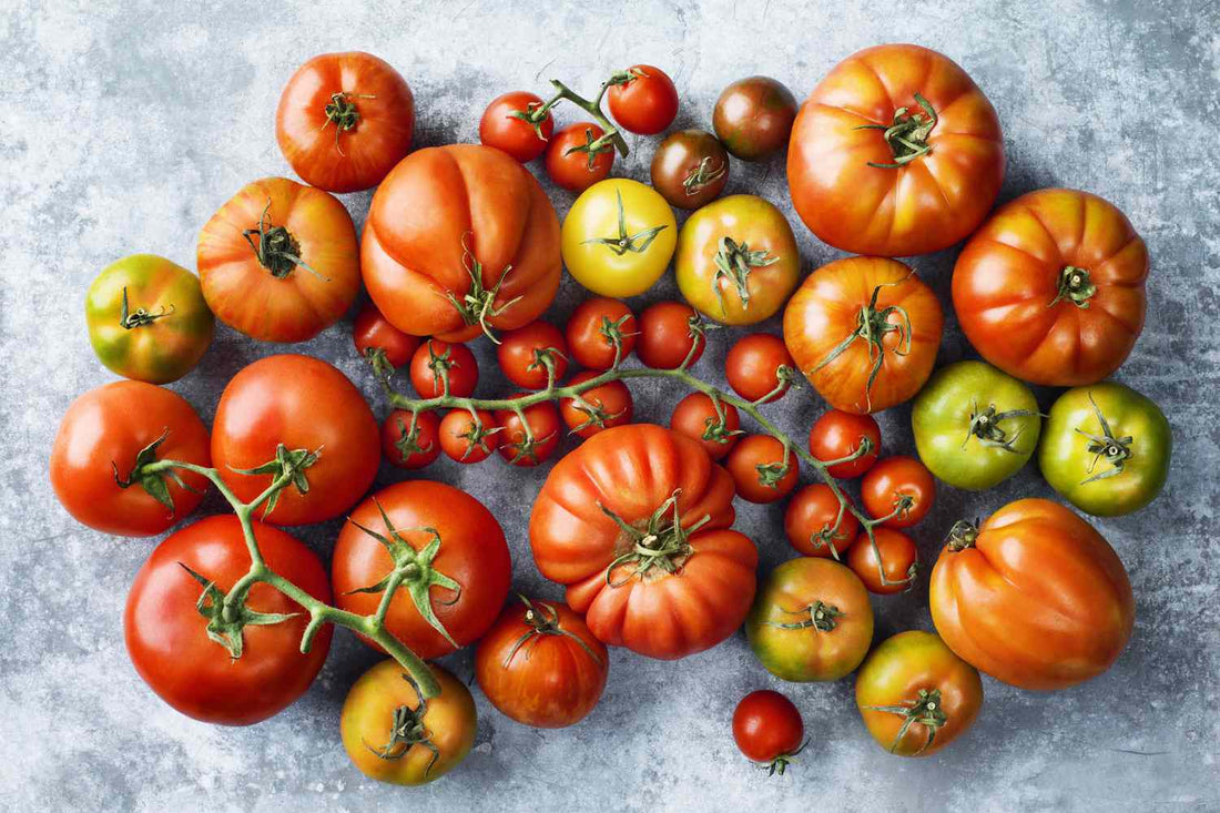 Mixed Giant Tomato Seeds