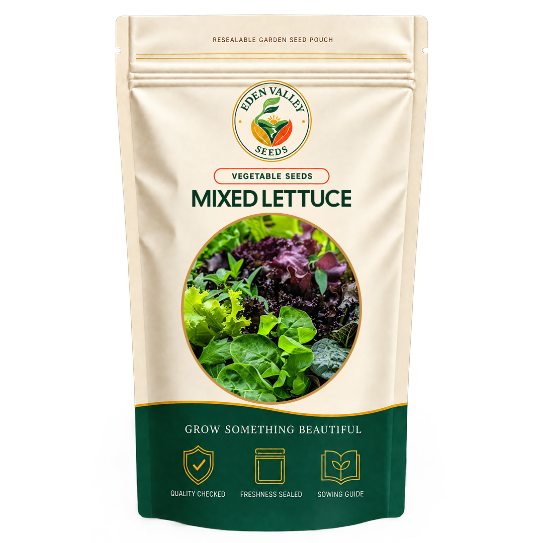 Mixed Lettuce Seeds for planting
