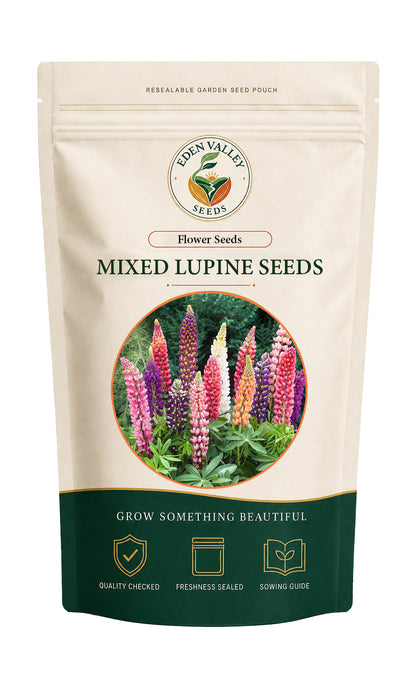Mixed Lupine Flower Seeds for Planting with colorful blooms for home gardens