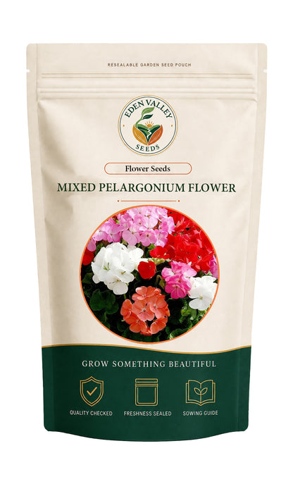 Mixed Pelargonium Perennial flowers blooming in a garden