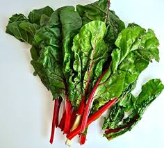 Swiss Chard Stems in Red Pink Yellow Orange White and Green