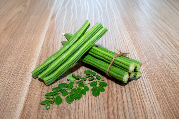 Moringa Vegetable Seeds for Planting with Moringa oleifera tree foliage and green pods