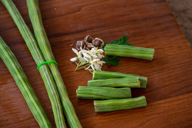 Moringa Vegetable Seeds for Planting with Moringa oleifera tree foliage and green pods