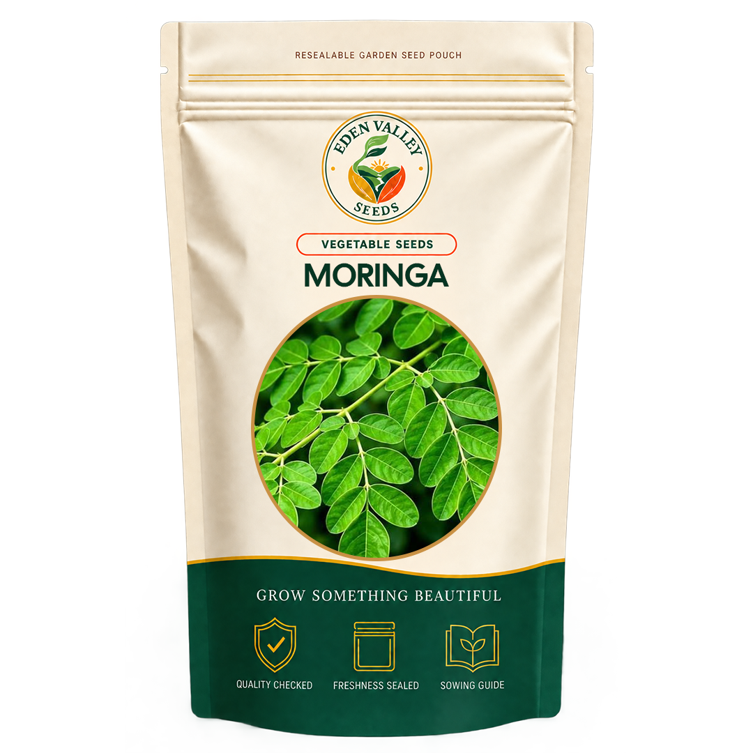 Moringa Tree Seeds for home gardens