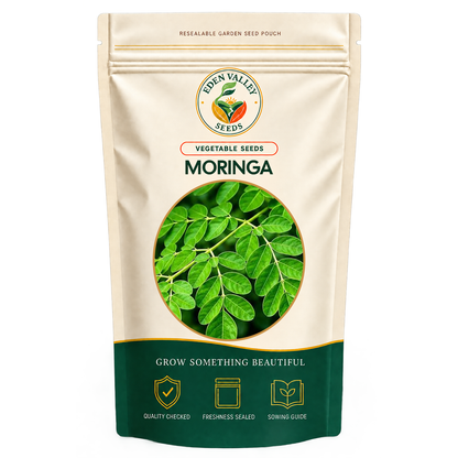 Moringa Tree Seeds for home gardens