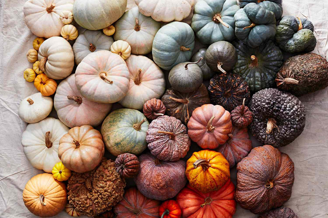Mixed Pumpkin Seeds
