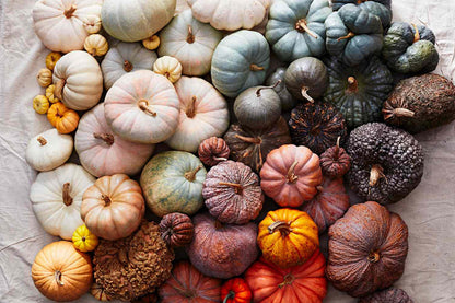 Mixed Pumpkin Seeds