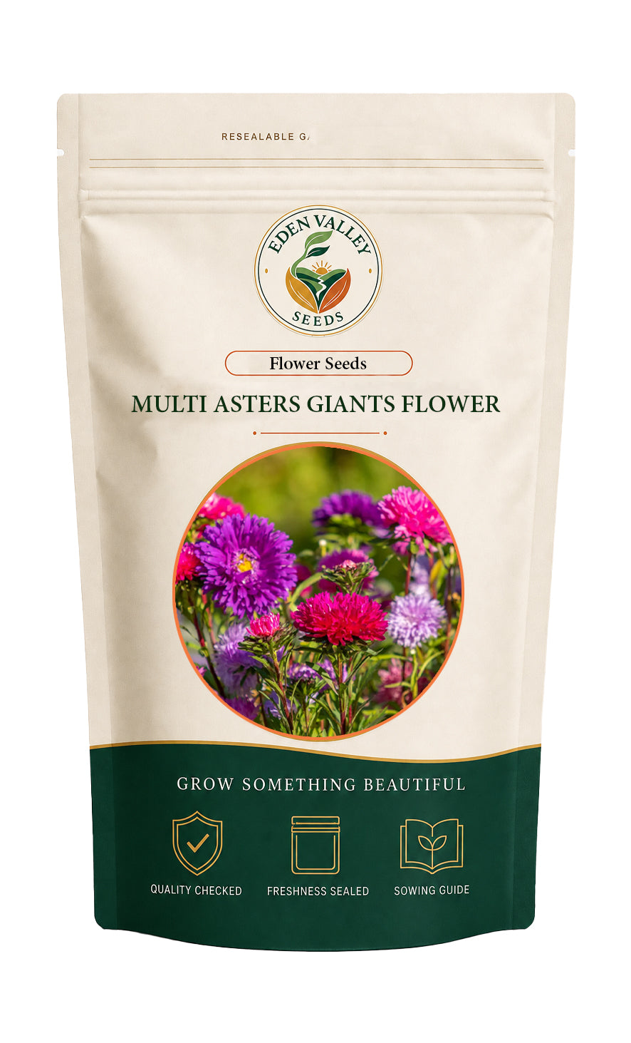 Multi Giant Asters flowers for home gardens