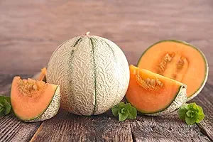musk melon seeds