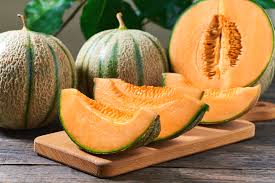 Musk Melon Fruit Seeds for Planting – Heirloom Non-GMO Garden Seeds