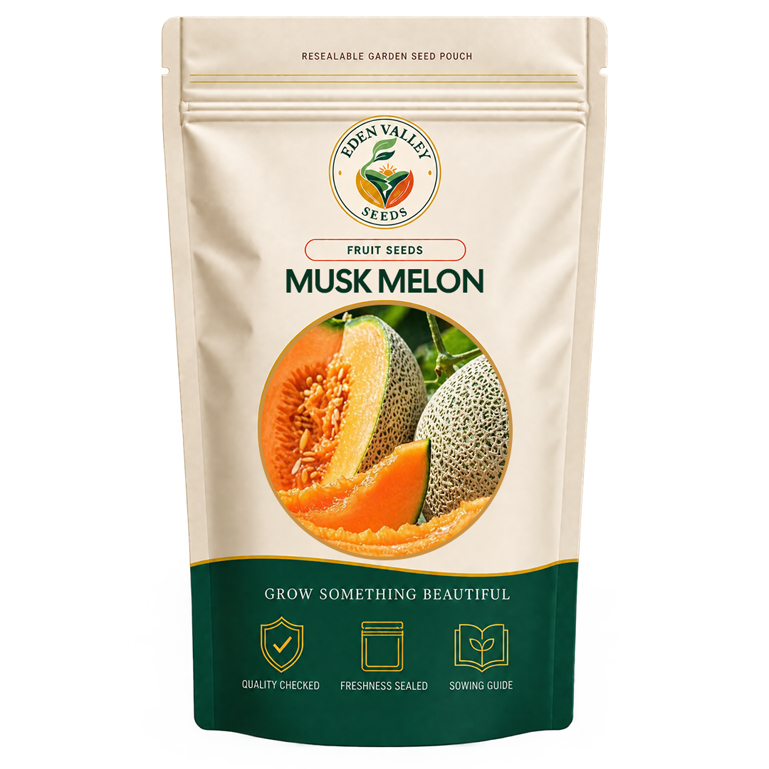 Muskmelon Cucumis melo Seeds for planting