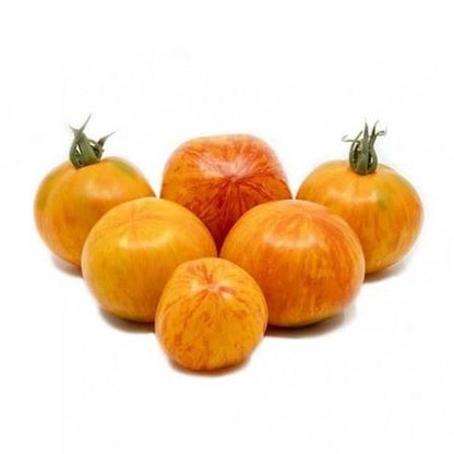 Neon Peach Tomato Seeds for Planting featuring distinctive peach to orange-pink tomatoes for home vegetable gardens